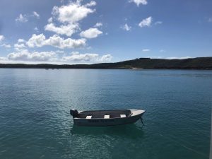 IMG_0094 (1)